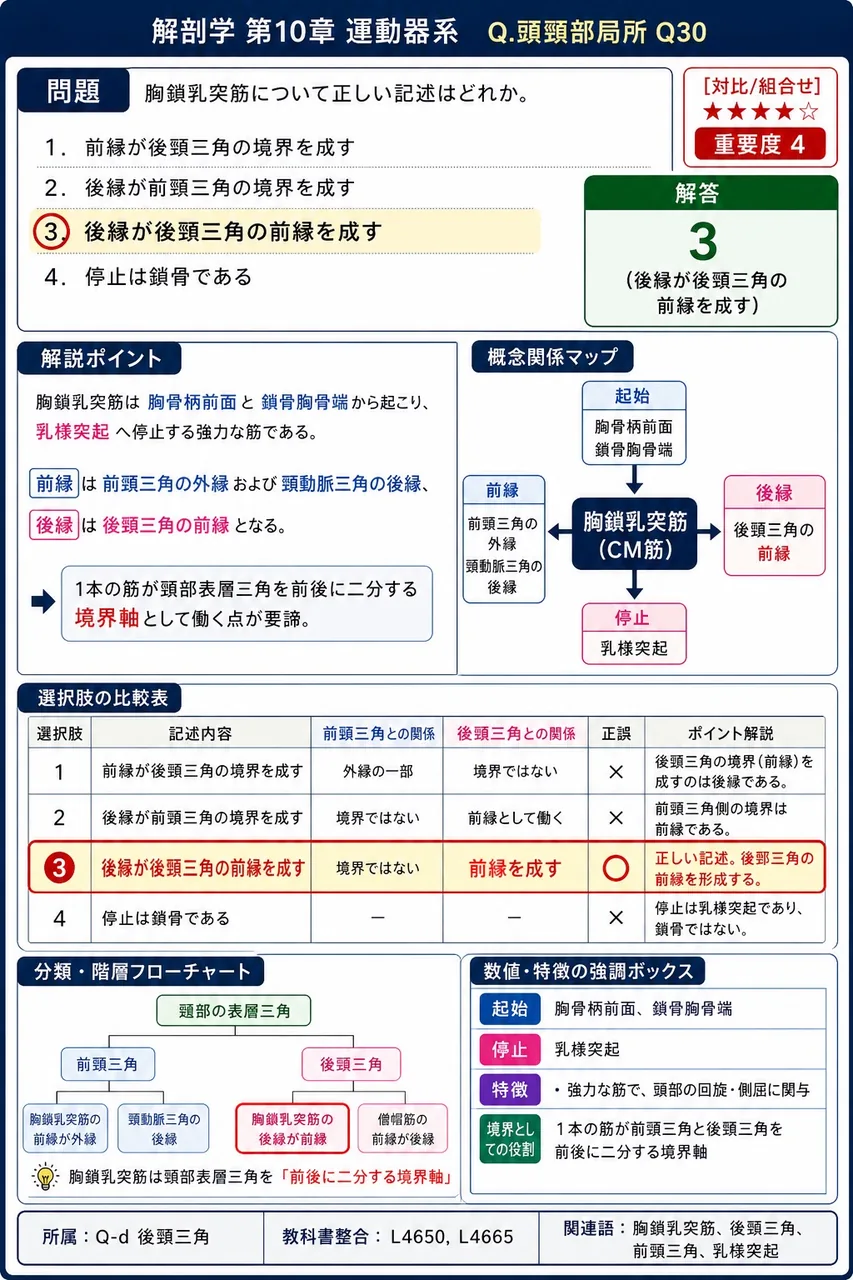 胸鎖乳突筋について正しい記述はどれか。 解説図