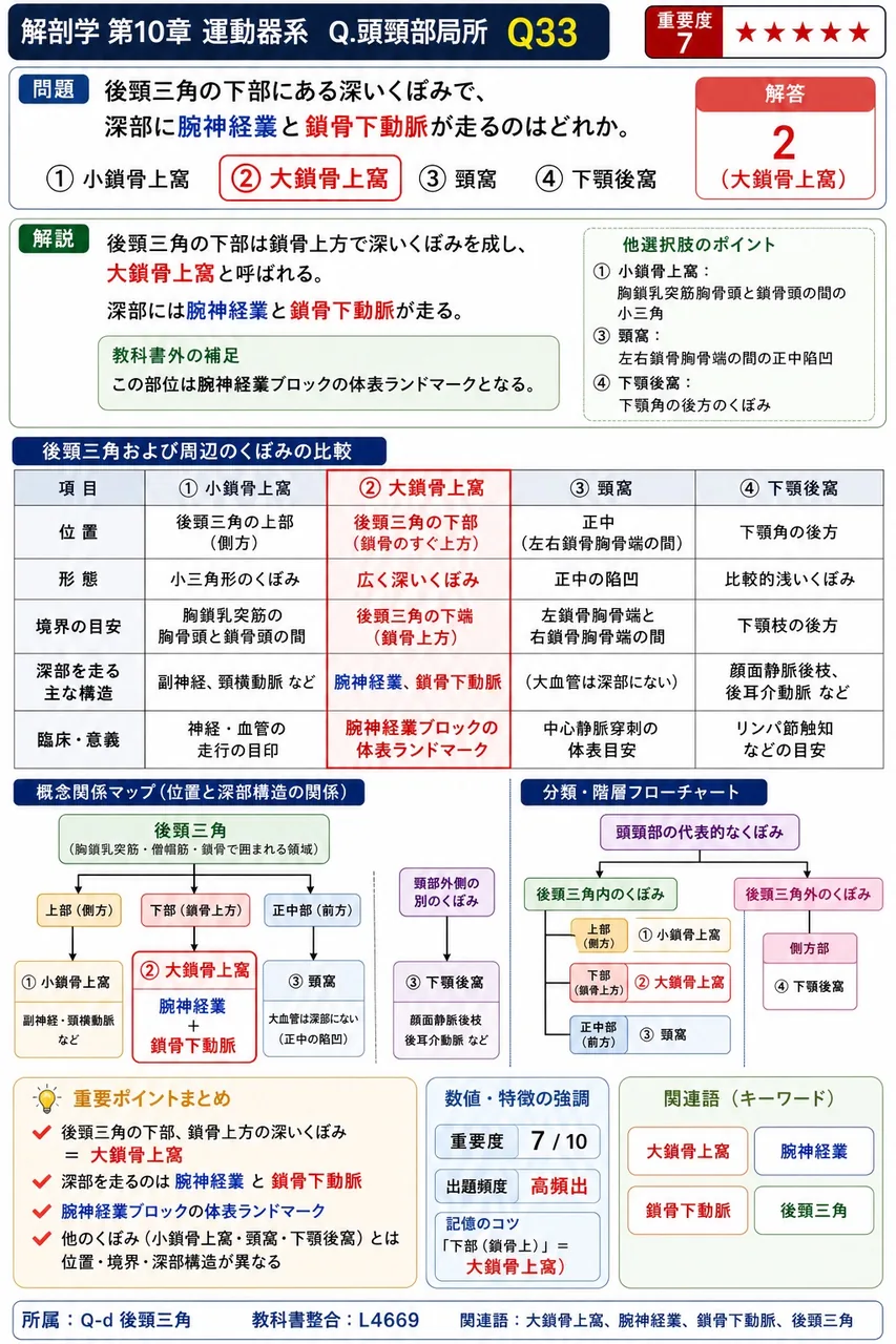 後頸三角の下部にある深いくぼみで、深部に腕神経叢と鎖骨下動脈が走るのはどれか。 解説図