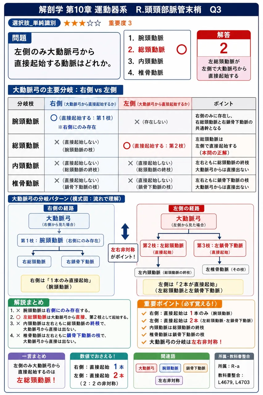 左側のみ大動脈弓から直接起始する動脈はどれか。 解説図