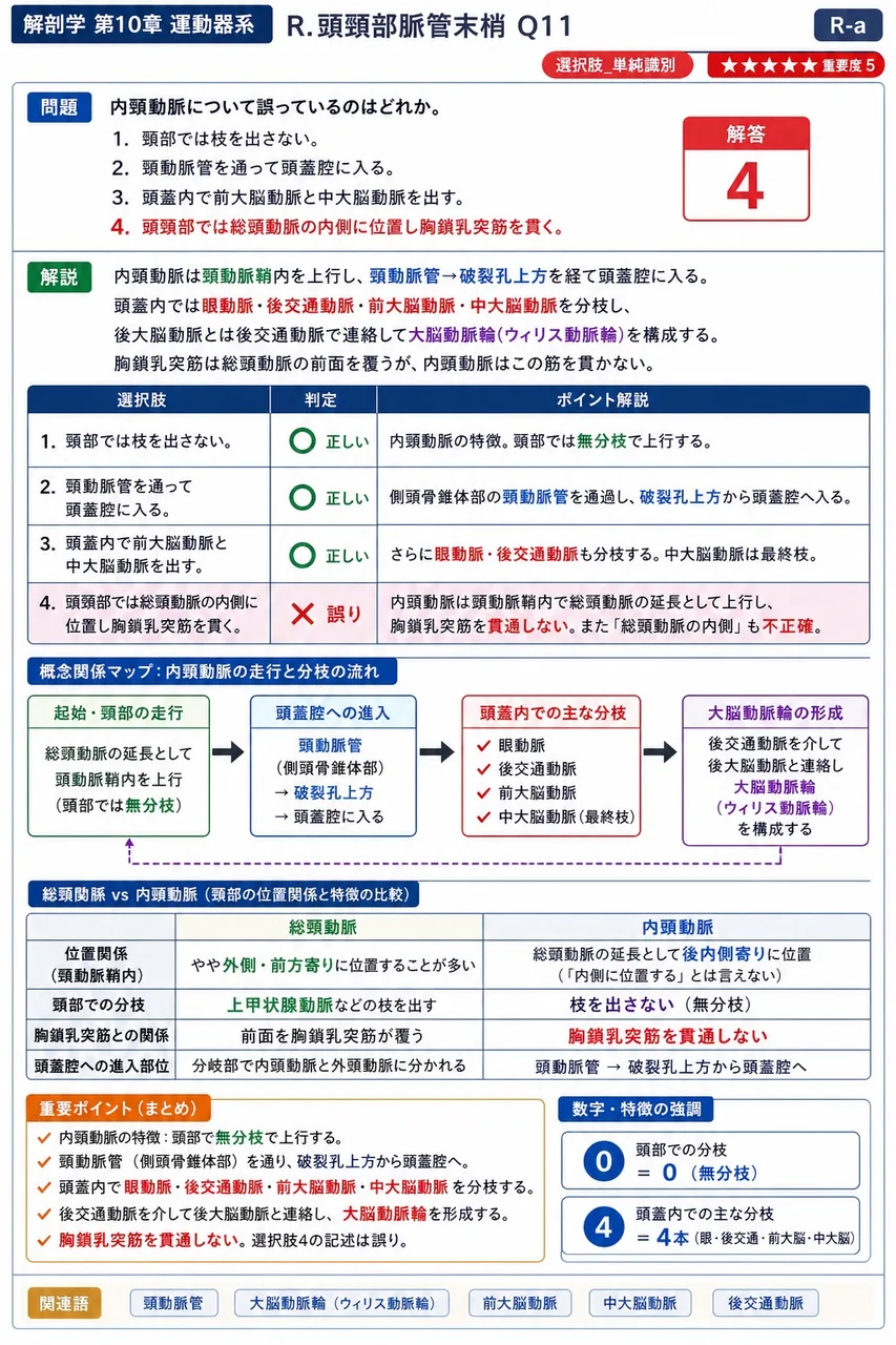 内頸動脈について誤っているのはどれか。 解説図