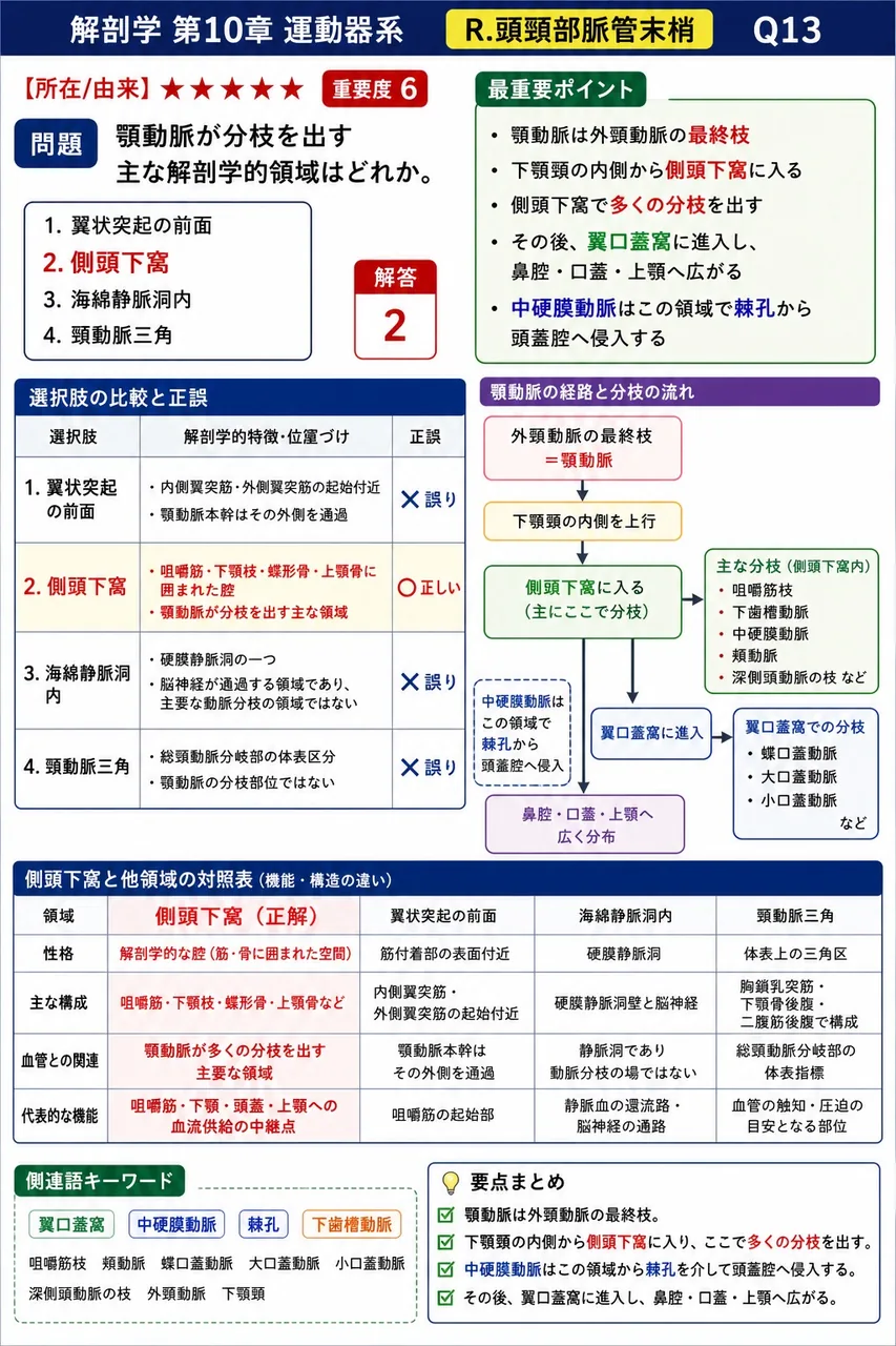 顎動脈が分枝を出す主な解剖学的領域はどれか。 解説図