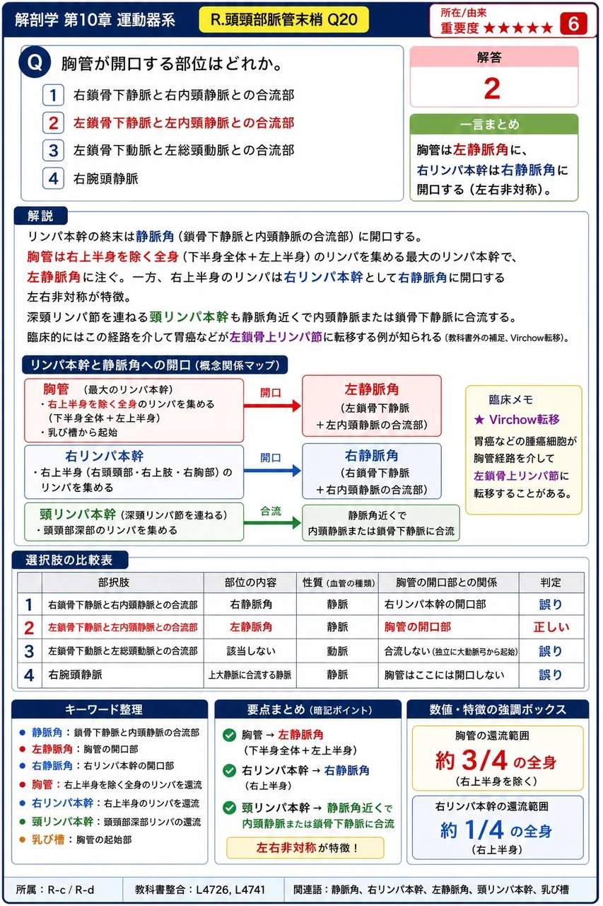 胸管が開口する部位はどれか。 解説図