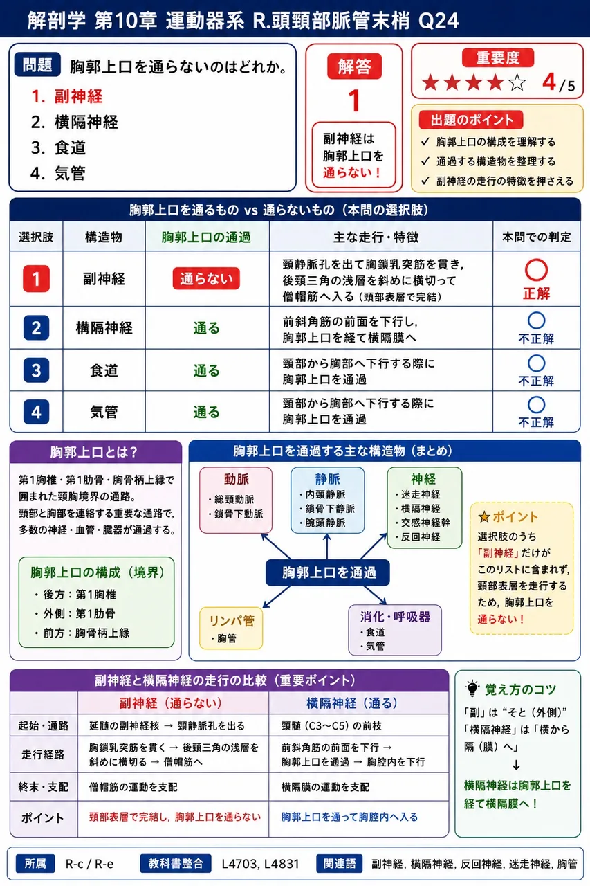 胸郭上口を通らないのはどれか。 解説図
