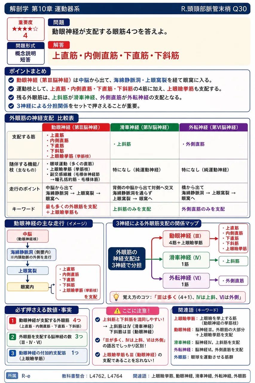 動眼神経が支配する眼筋4つを答えよ。 解説図