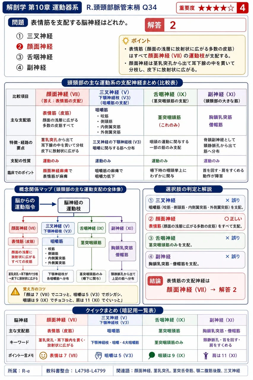 表情筋を支配する脳神経はどれか。 解説図