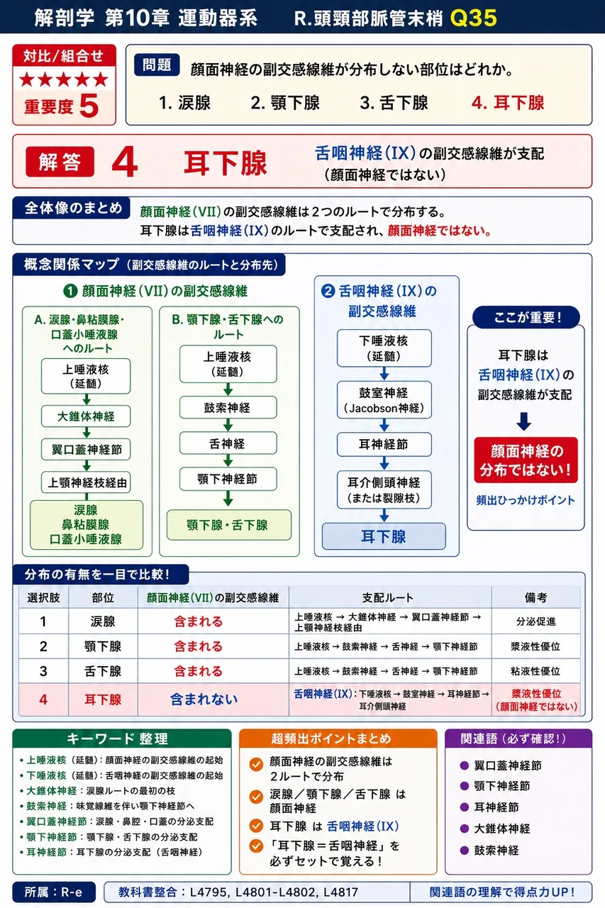 顔面神経の副交感線維が分布しない部位はどれか。 解説図
