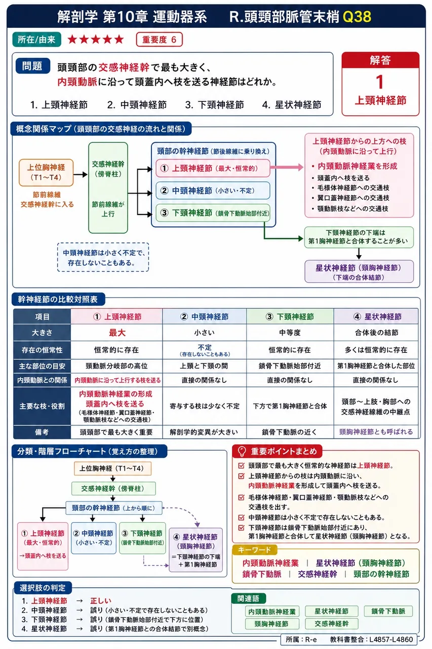 頭頸部の交感神経幹で最も大きく、内頸動脈に沿って頭蓋内へ枝を送る神経節はどれか。 解説図