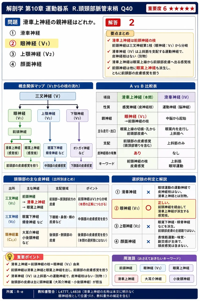 滑車上神経の親神経はどれか。 解説図