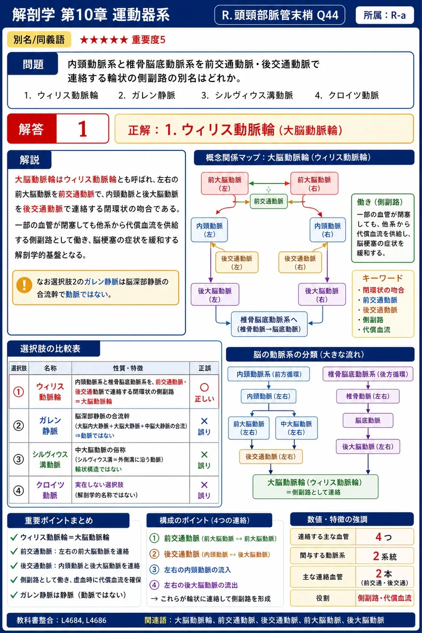 内頸動脈系と椎骨脳底動脈系を前交通動脈・後交通動脈で連絡する輪状の側副路の別名はどれか。 解説図