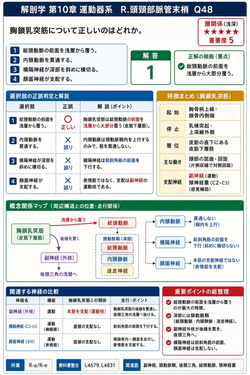 胸鎖乳突筋について正しいのはどれか。 解説図