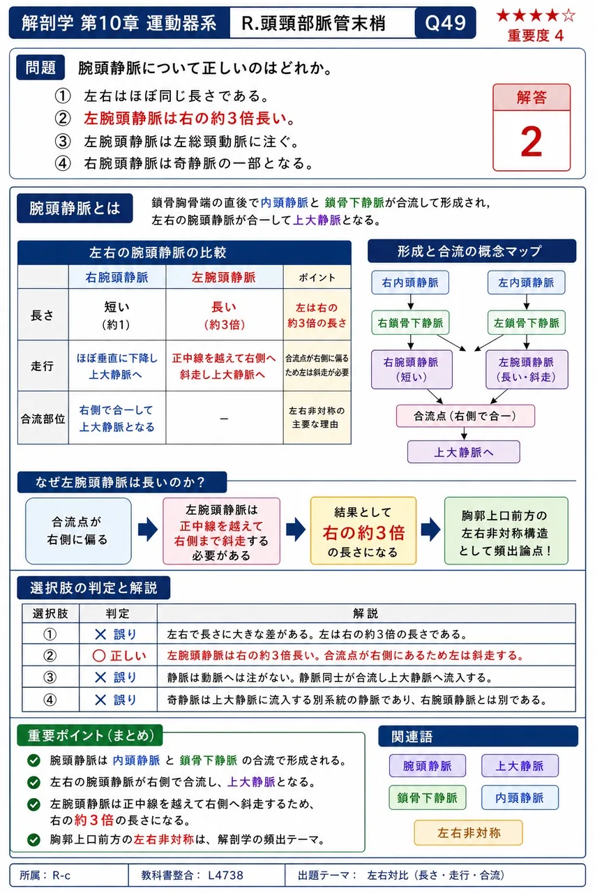 腕頭静脈について正しいのはどれか。 解説図