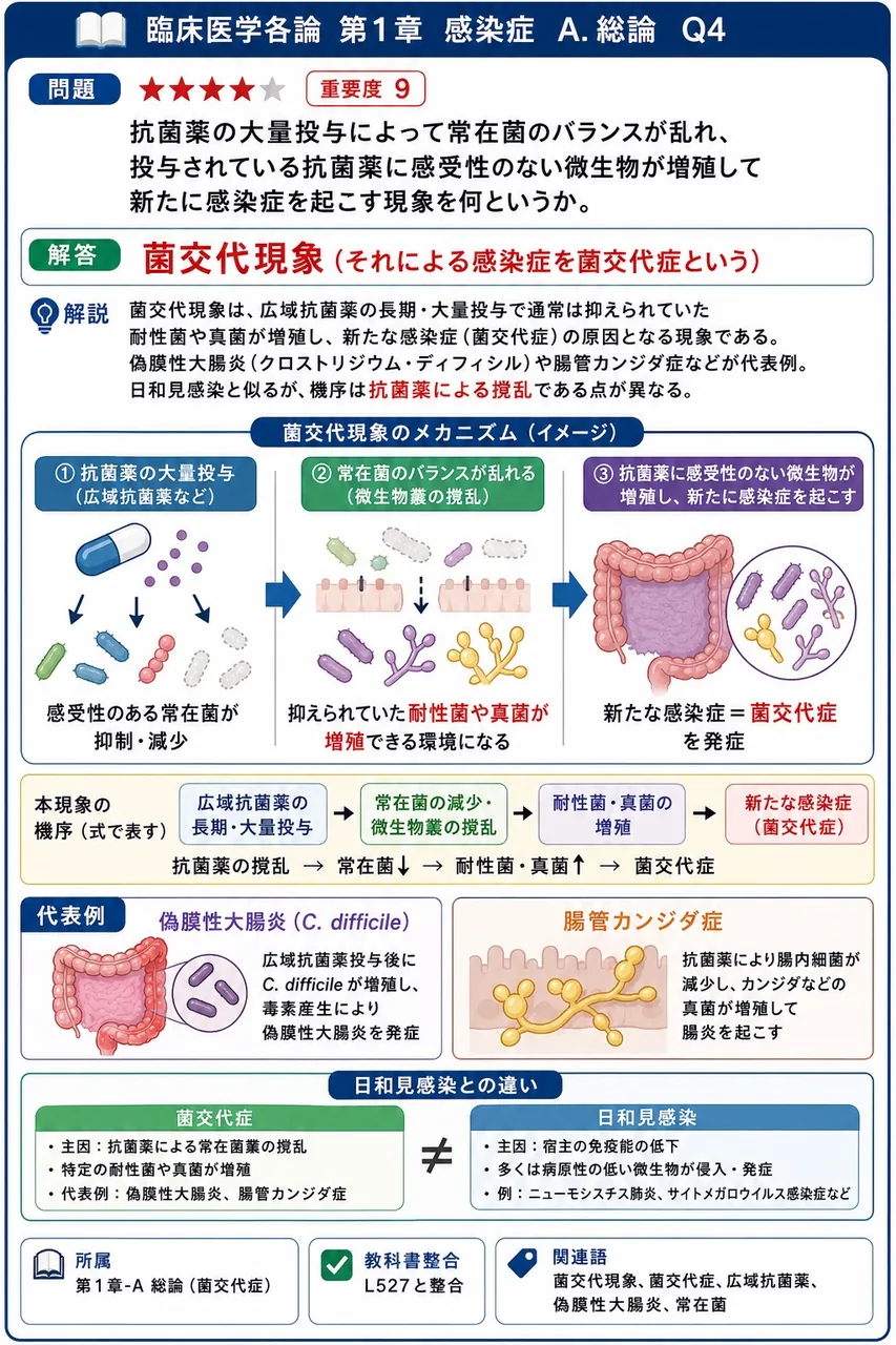 抗菌薬の大量投与によって常在菌のバランスが乱れ、投与されている抗菌薬に感受性のない微生物が増殖して新たに感染症を起こす現象を何というか。 解説図
