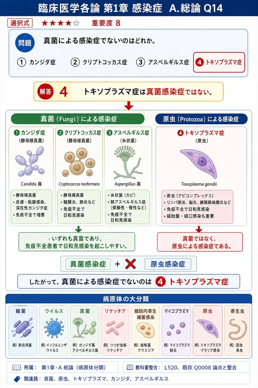 真菌による感染症でないのはどれか。 解説図