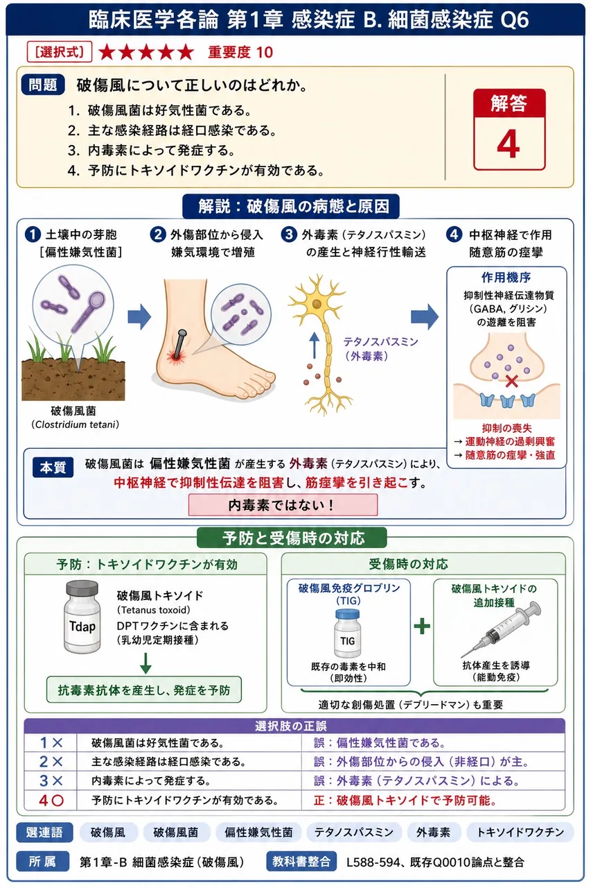 破傷風について正しいのはどれか。 解説図