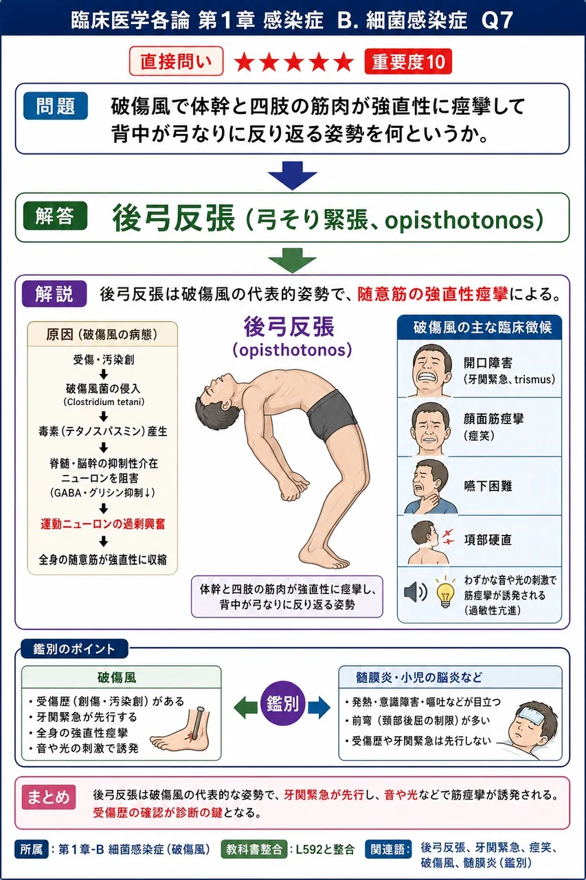 破傷風で体幹と四肢の筋肉が強直性に痙攣して背中が弓なりに反り返る姿勢を何というか。 解説図