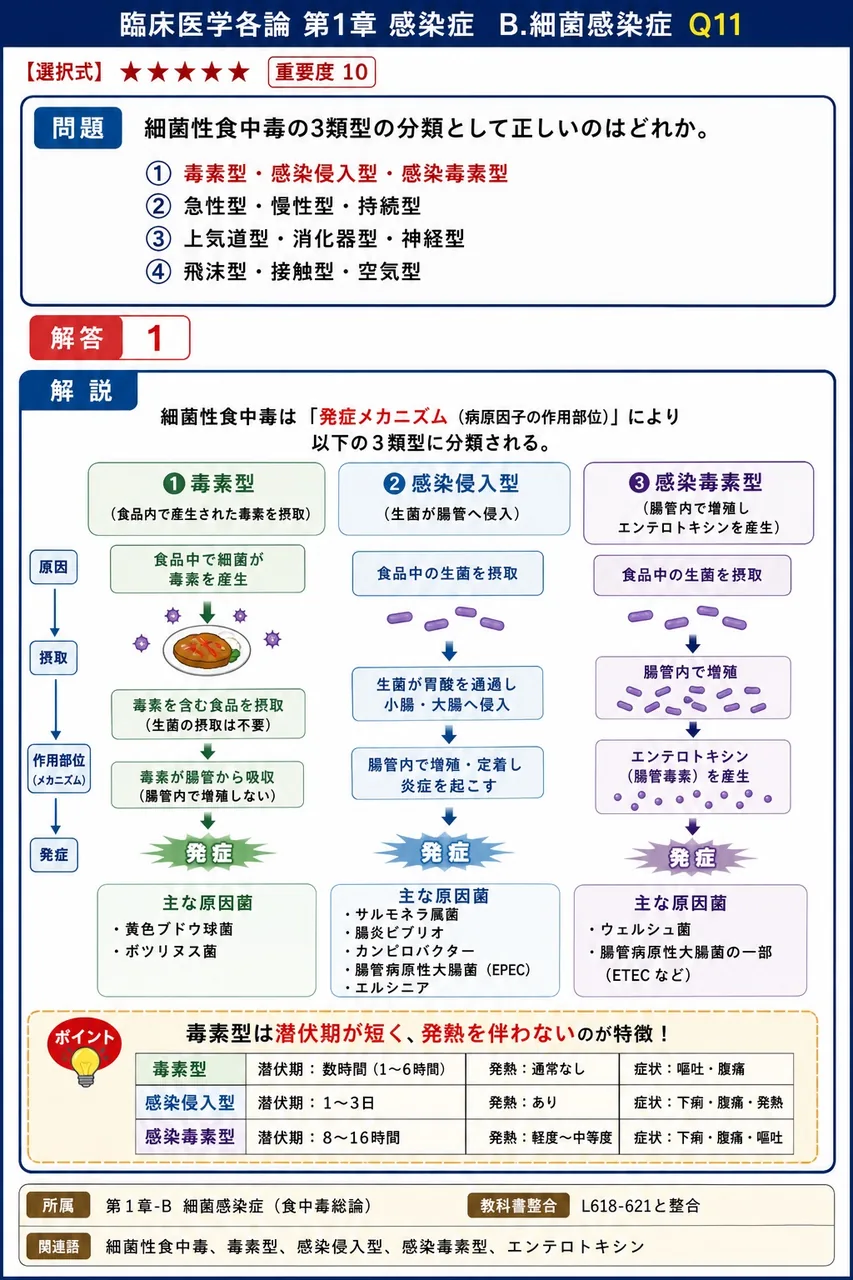細菌性食中毒の3類型の分類として正しいのはどれか。 解説図