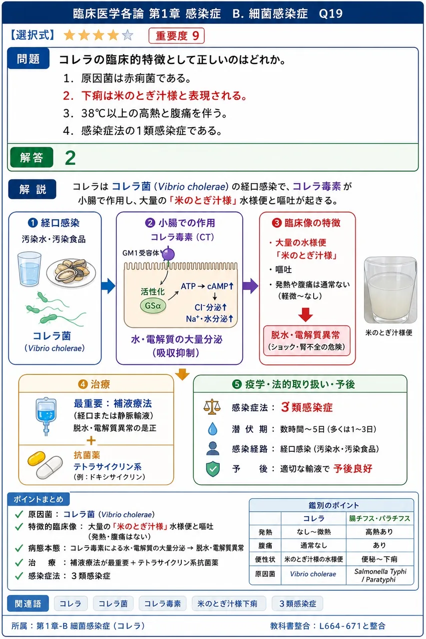 コレラの臨床的特徴として正しいのはどれか。 解説図