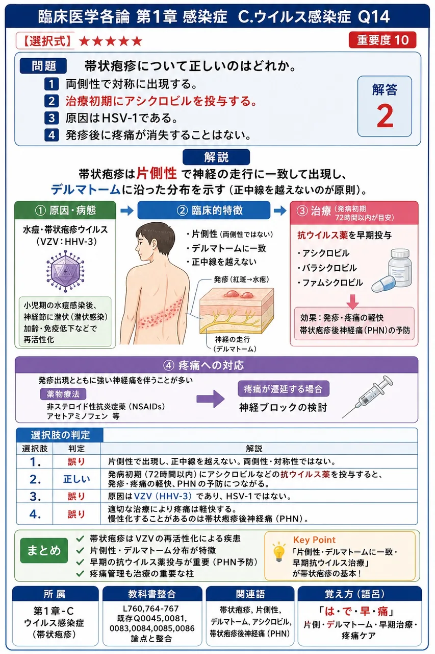 帯状疱疹について正しいのはどれか。 解説図