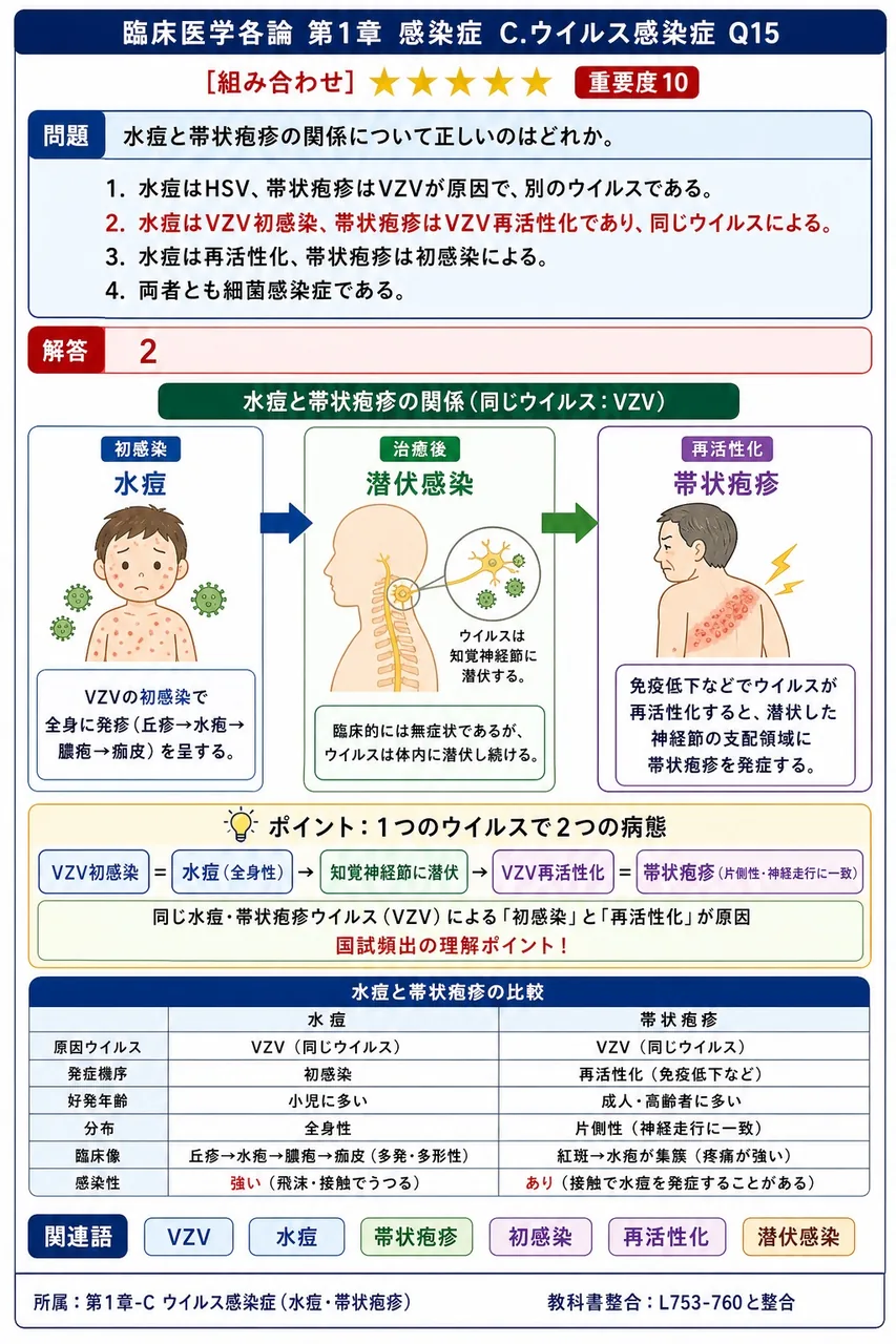 水痘と帯状疱疹の関係について正しいのはどれか。 解説図