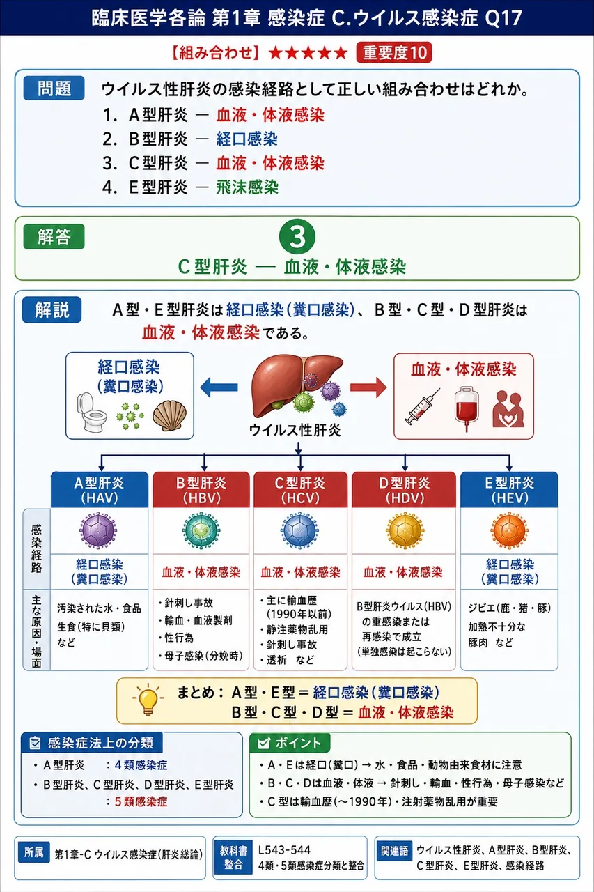 ウイルス性肝炎の感染経路として正しい組み合わせはどれか。 解説図