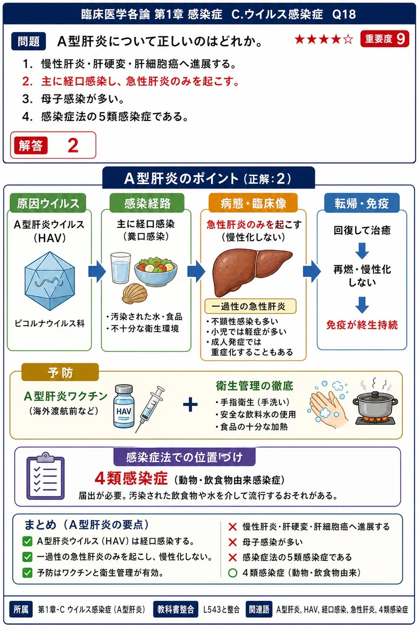 A型肝炎について正しいのはどれか。 解説図