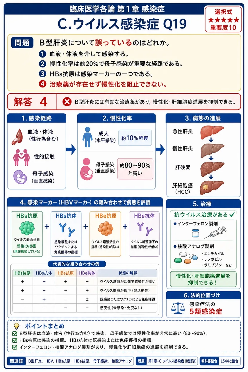 B型肝炎について誤っているのはどれか。 解説図