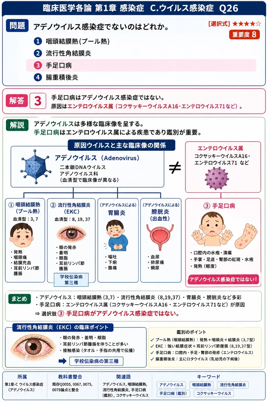 アデノウイルス感染症でないのはどれか。 解説図