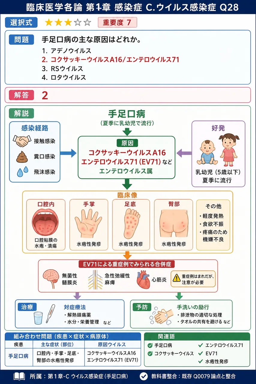 手足口病の主な原因はどれか。 解説図