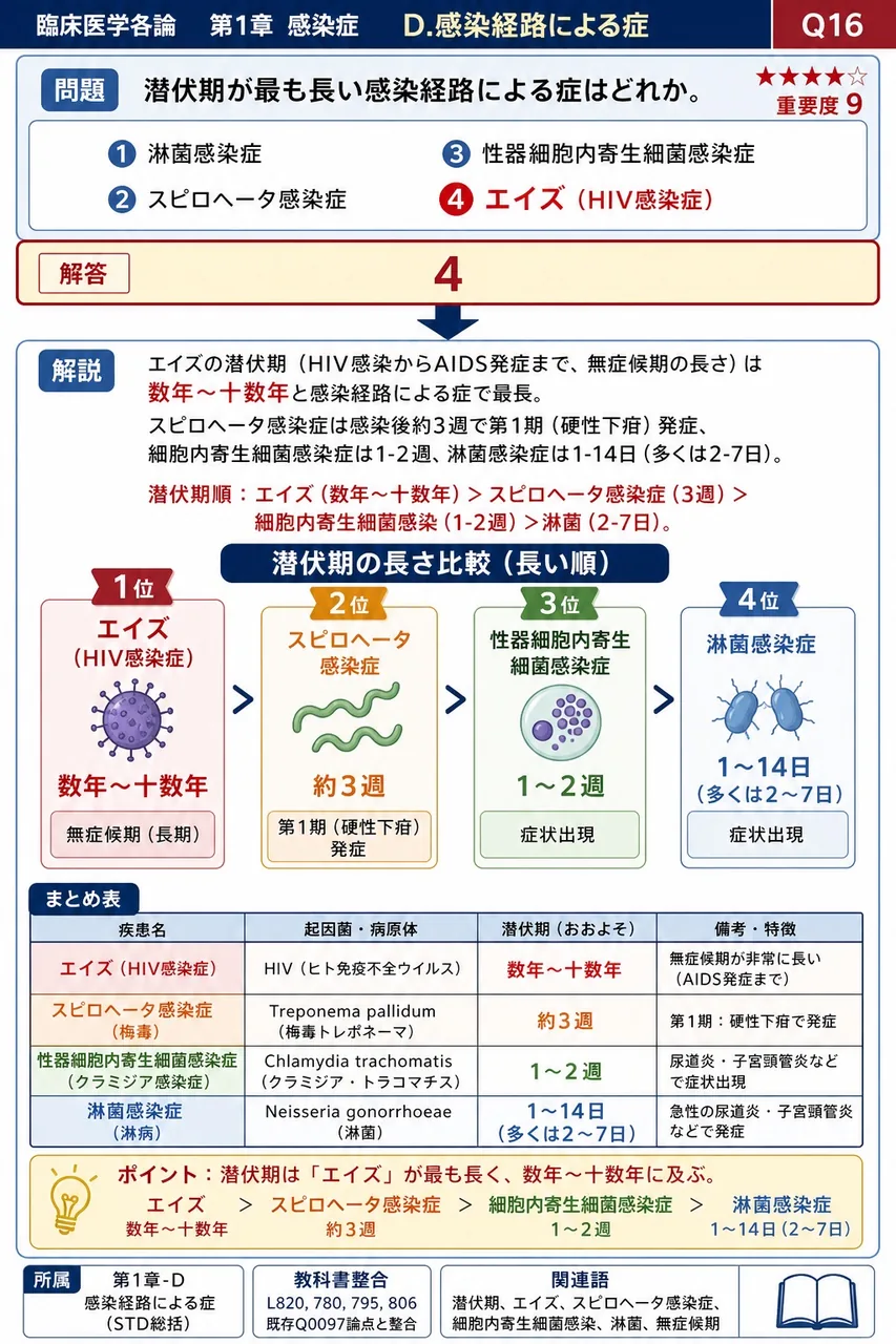 潜伏期が最も長い性感染症はどれか。 解説図