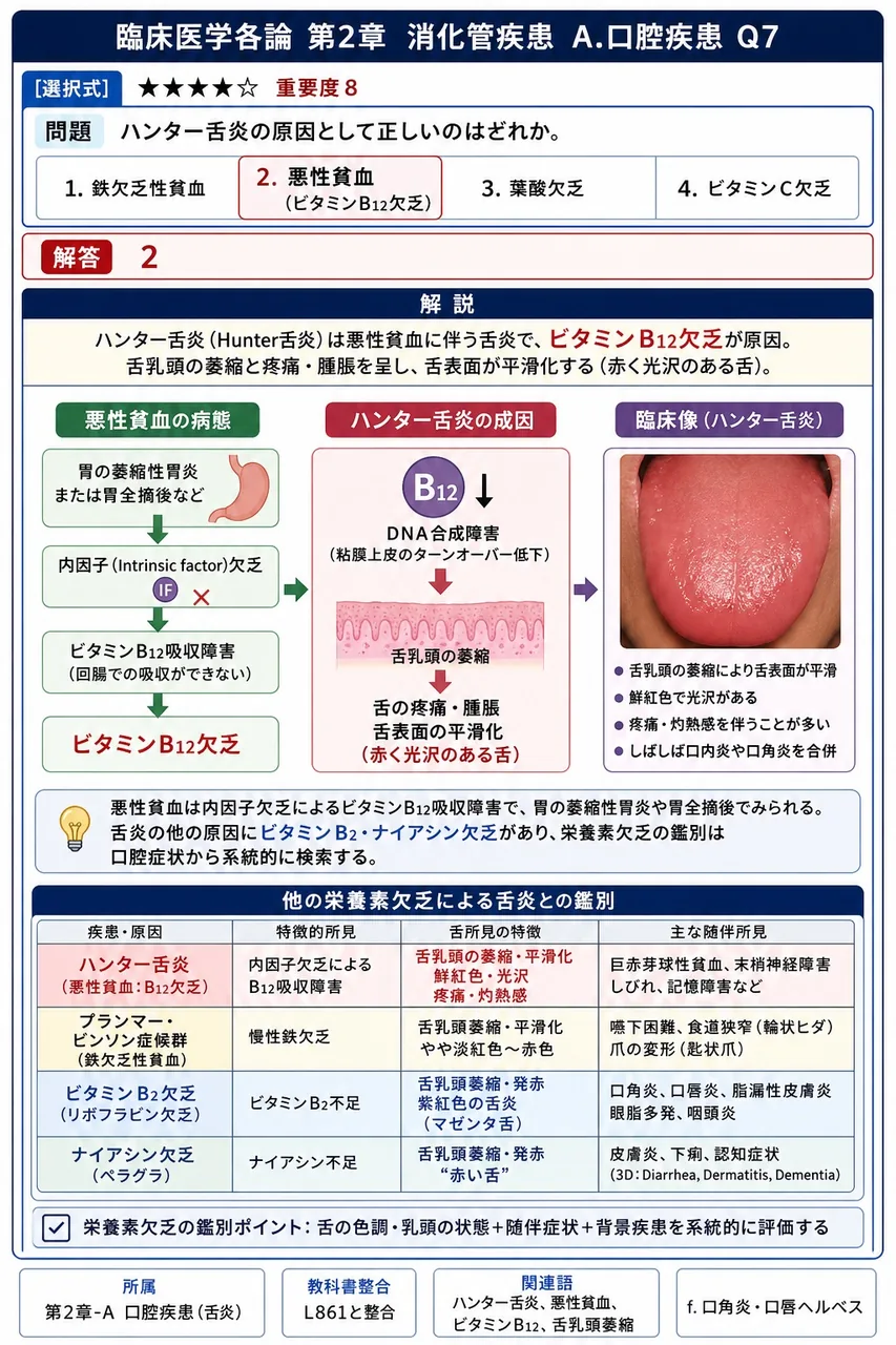 ハンター舌炎の原因として正しいのはどれか。 解説図