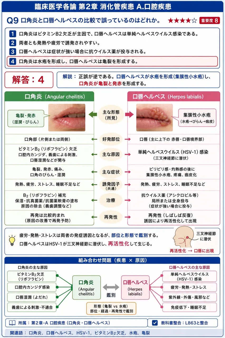 口角炎と口唇ヘルペスの比較で誤っているのはどれか。 解説図