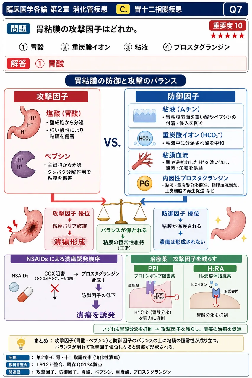 胃粘膜の攻撃因子はどれか。 解説図