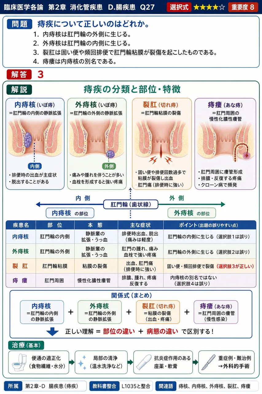 痔疾について正しいのはどれか。 解説図