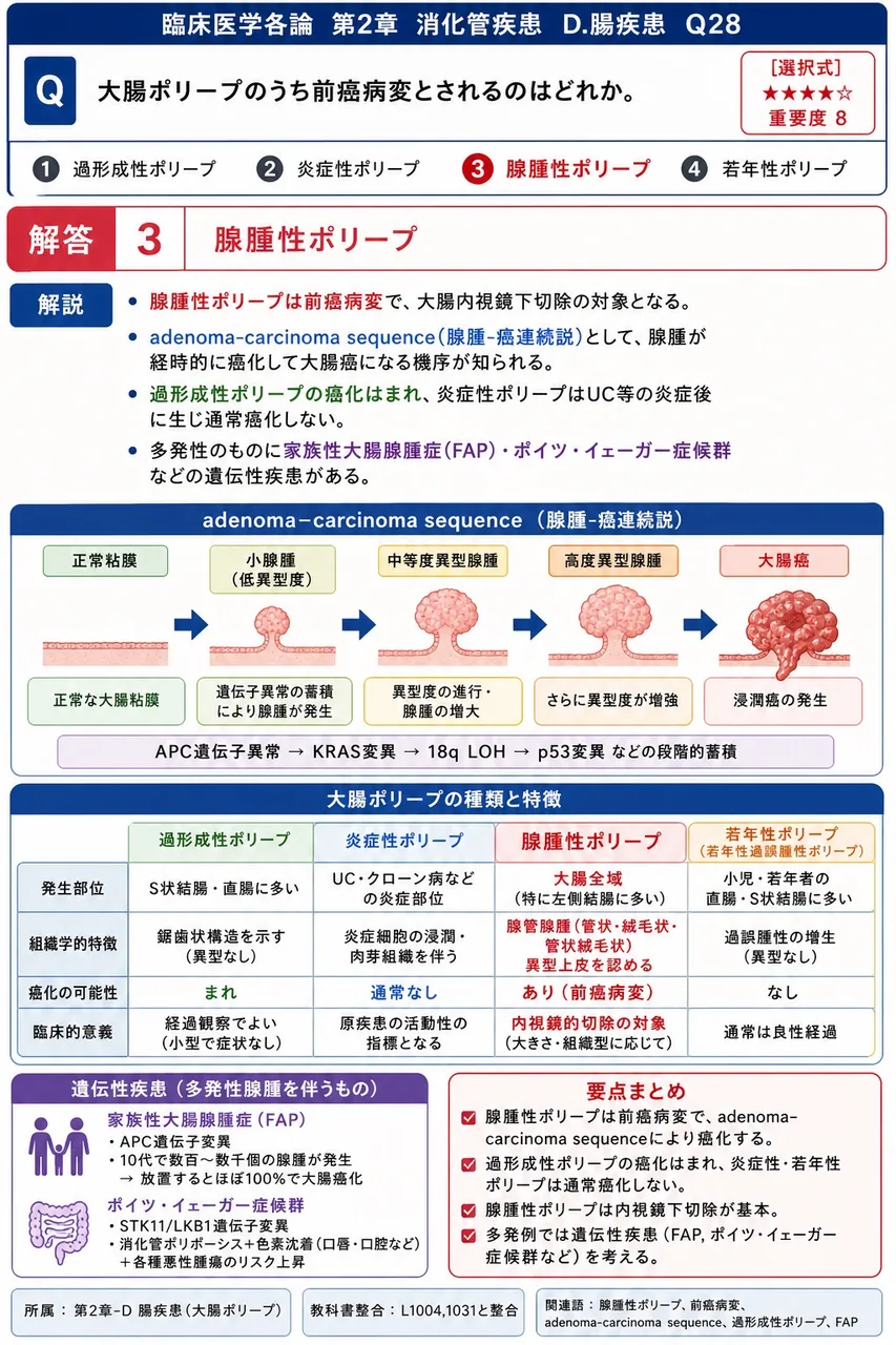 大腸ポリープのうち前癌病変とされるのはどれか。 解説図