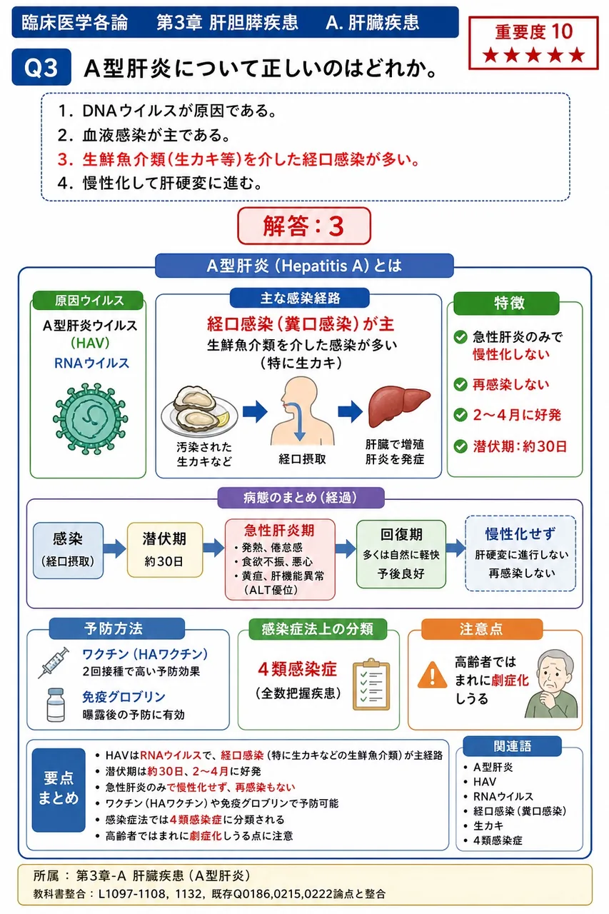 A型肝炎について正しいのはどれか。 解説図