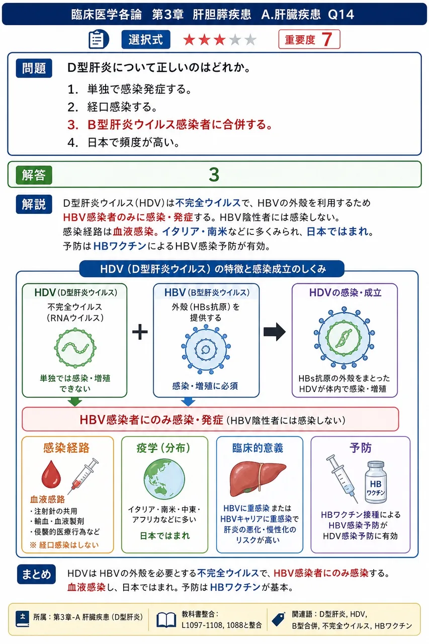 D型肝炎について正しいのはどれか。 解説図