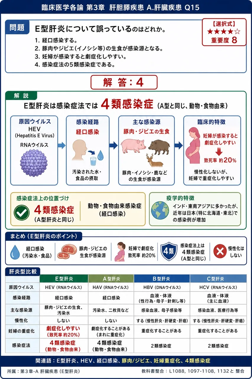 E型肝炎について誤っているのはどれか。 解説図