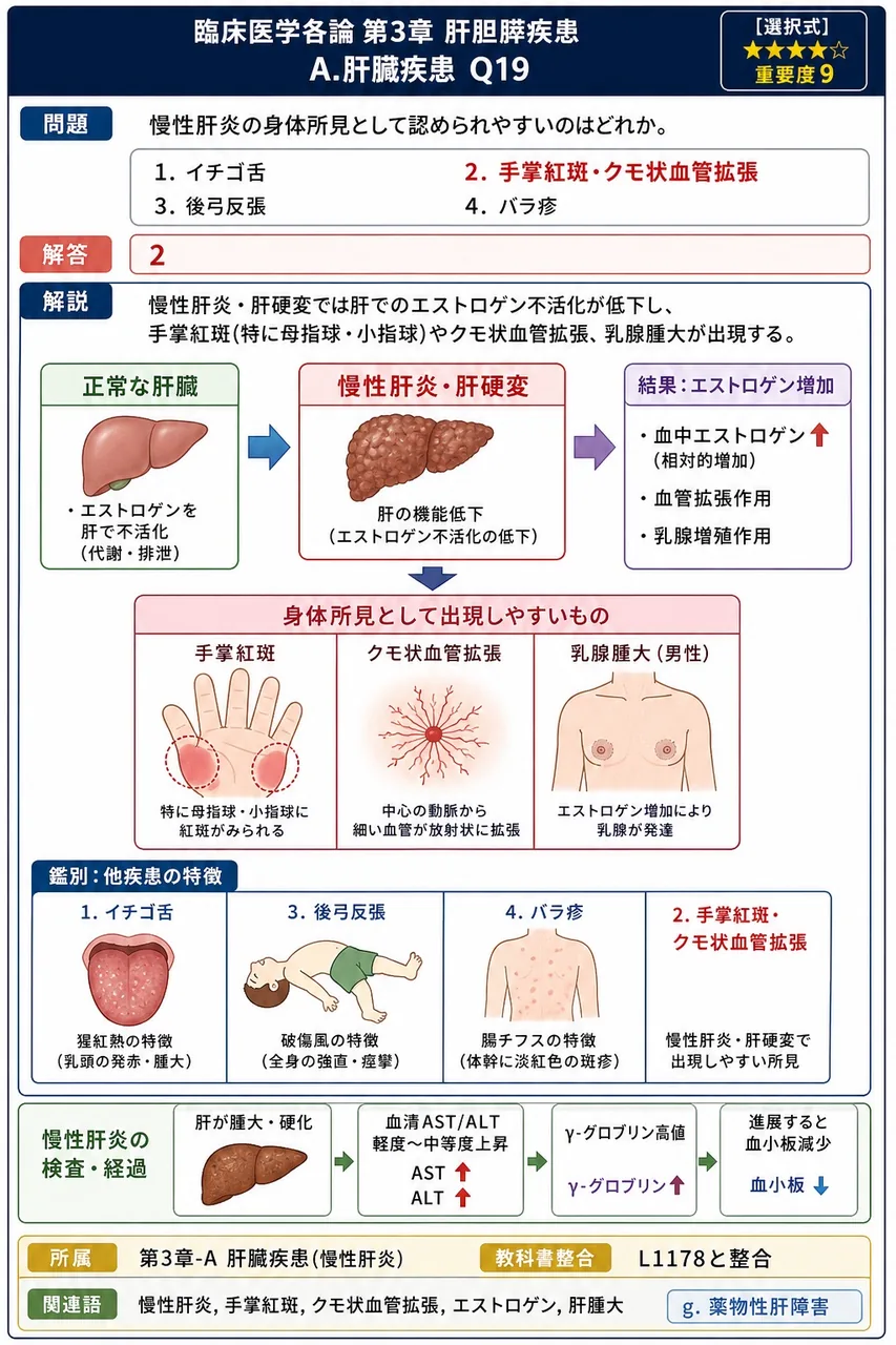 慢性肝炎の身体所見として認められやすいのはどれか。 解説図