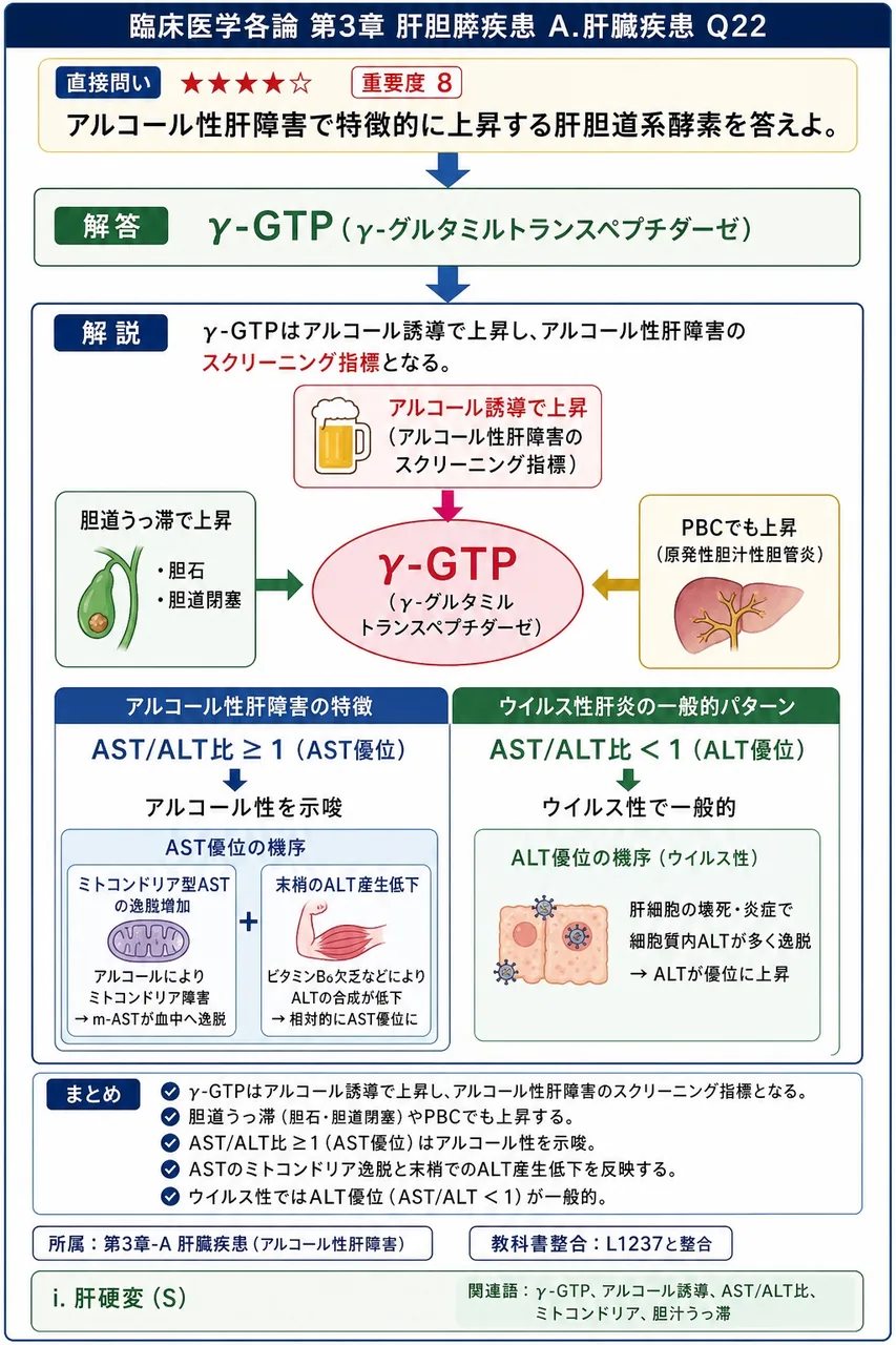 アルコール性肝障害で特徴的に上昇する肝胆道系酵素を答えよ。 解説図