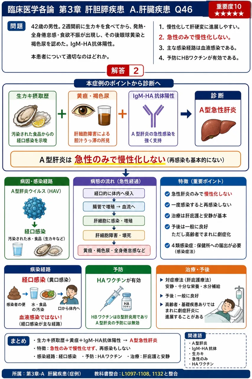 「42歳の男性。2週間前に生カキを食べてから、発熱・全身倦怠感・食欲不振が出現し、その後眼球黄染と褐色尿を認めた。IgM-HA抗体陽性。」本患者について適切なのはどれか。 解説図
