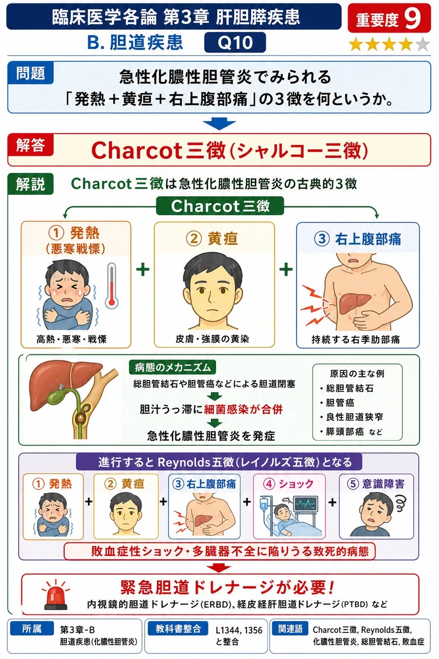 急性化膿性胆管炎でみられる「発熱+黄疸+右上腹部痛」の3徴を何というか。 解説図
