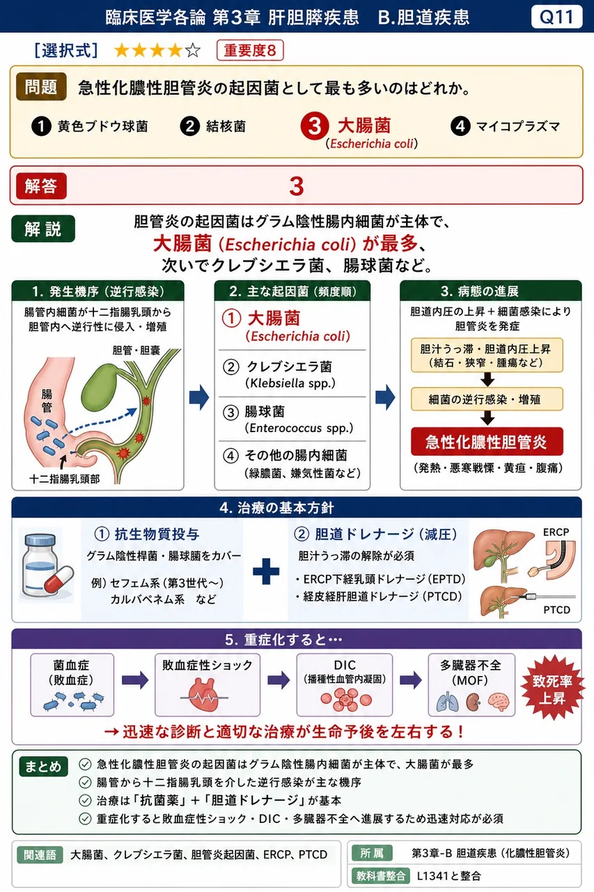 急性化膿性胆管炎の起因菌として最も多いのはどれか。 解説図