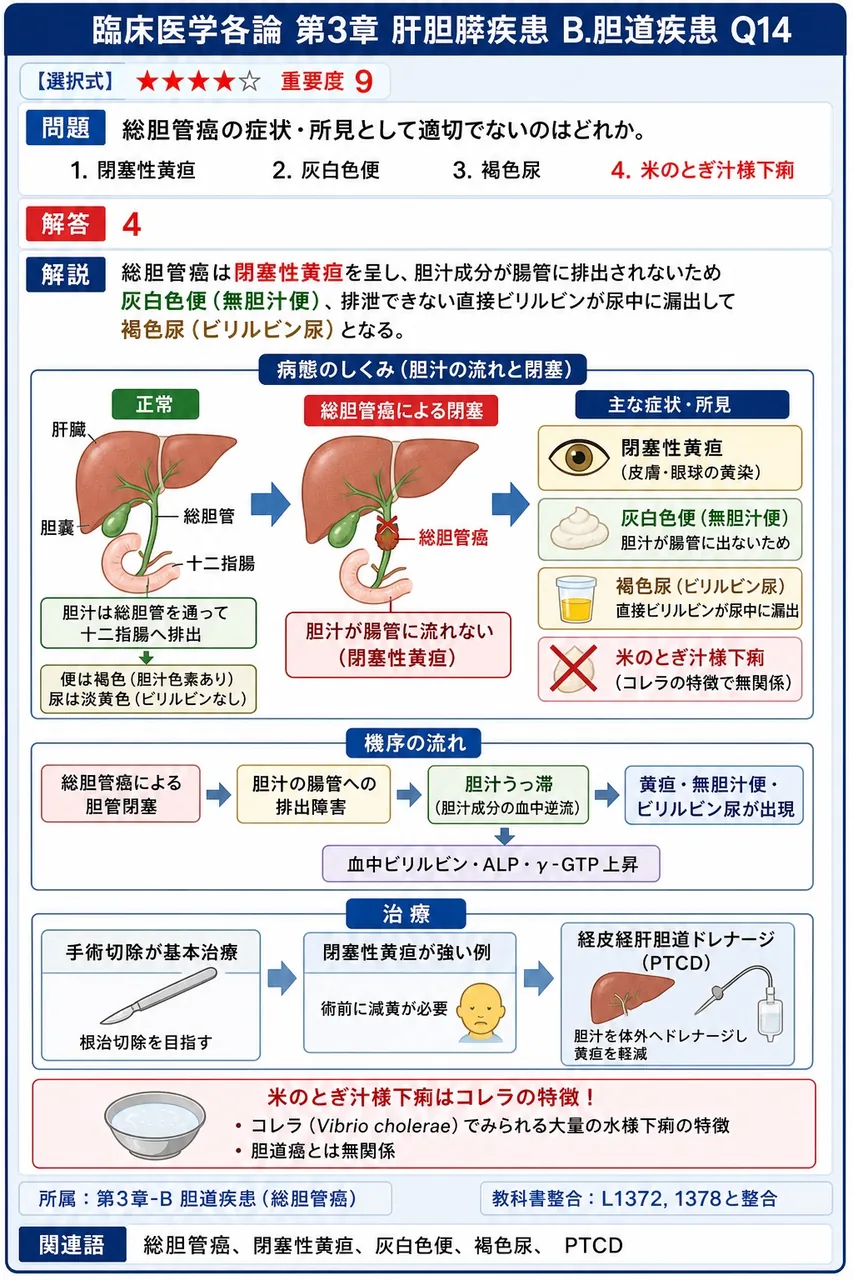 総胆管癌の症状・所見として適切でないのはどれか。 解説図