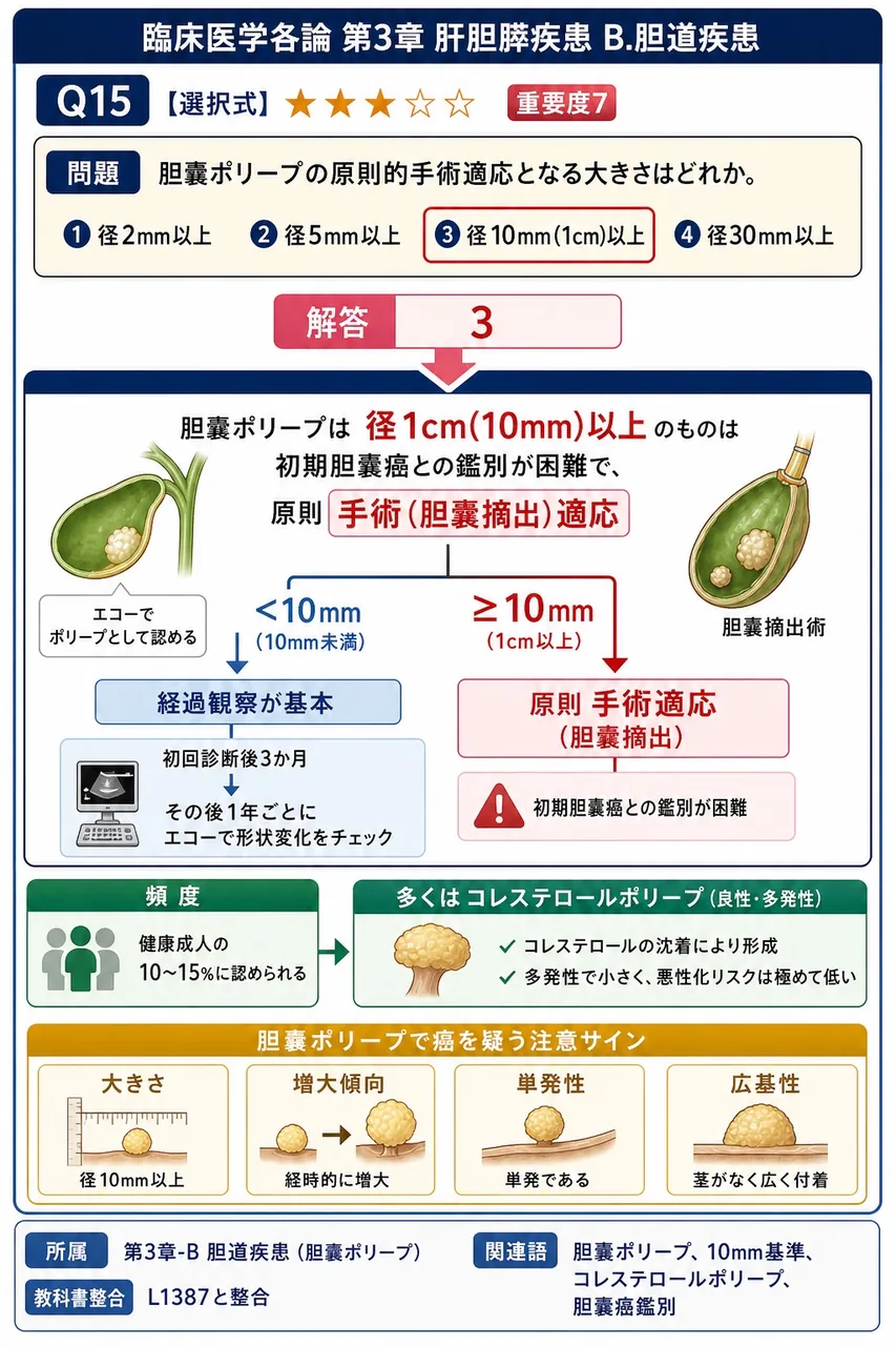 胆嚢ポリープの原則的手術適応となる大きさはどれか。 解説図
