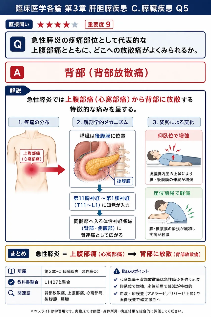 急性膵炎の疼痛部位として代表的な上腹部痛とともに、どこへの放散痛がよくみられるか。 解説図