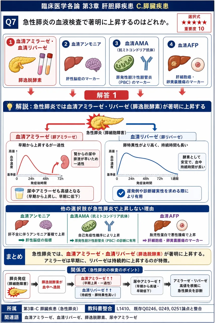 急性膵炎の血液検査で著明に上昇するのはどれか。 解説図