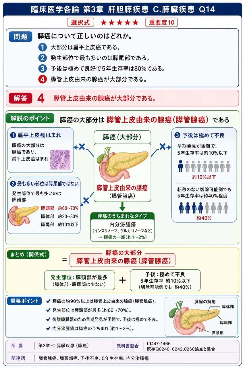 膵癌について正しいのはどれか。 解説図
