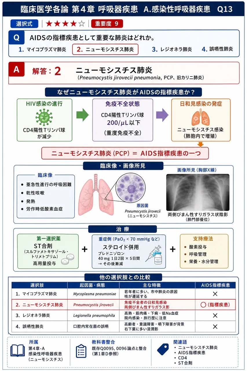 AIDSの指標疾患として重要な肺炎はどれか。 解説図