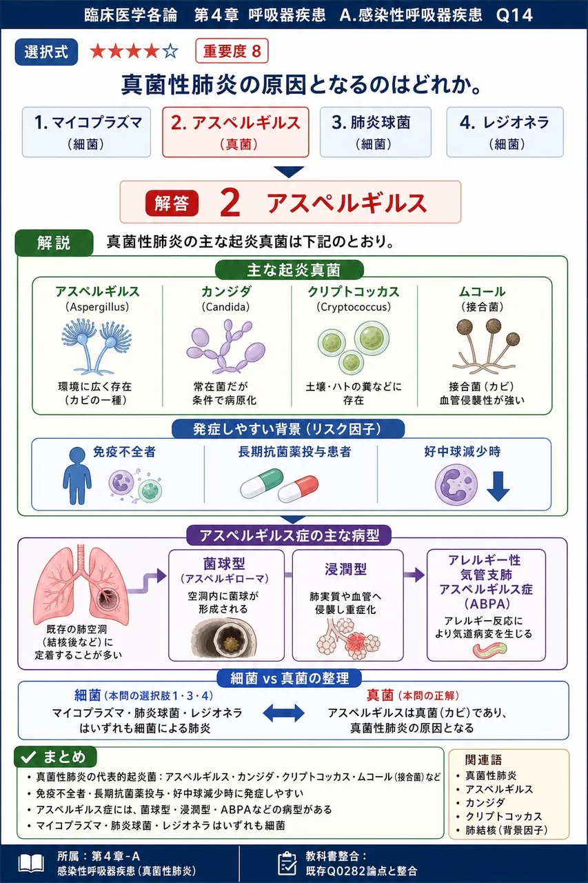 真菌性肺炎の原因となるのはどれか。 解説図