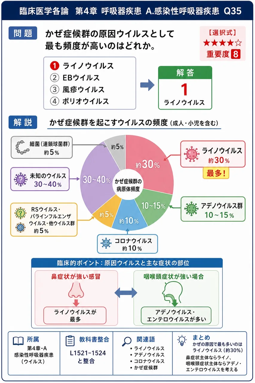かぜ症候群の原因ウイルスとして最も頻度が高いのはどれか。 解説図